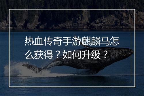 热血传奇手游麒麟马怎么获得？如何升级？