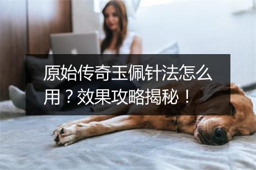 原始传奇玉佩针法怎么用？效果攻略揭秘！
