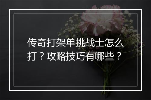 传奇打架单挑战士怎么打？攻略技巧有哪些？