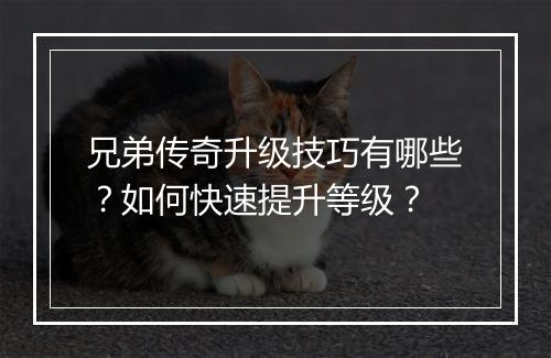 兄弟传奇升级技巧有哪些？如何快速提升等级？