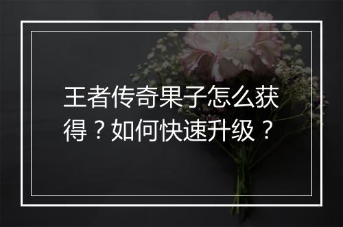 王者传奇果子怎么获得？如何快速升级？