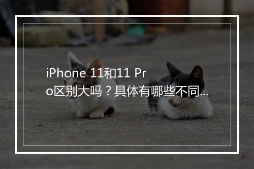 iPhone 11和11 Pro区别大吗？具体有哪些不同？
