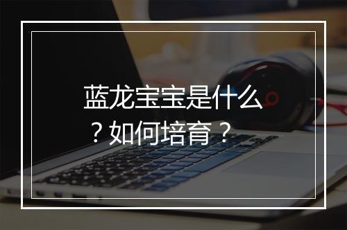 蓝龙宝宝是什么？如何培育？