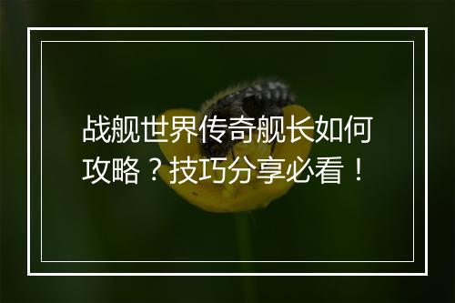 战舰世界传奇舰长如何攻略？技巧分享必看！