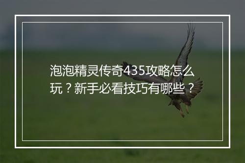 泡泡精灵传奇435攻略怎么玩？新手必看技巧有哪些？