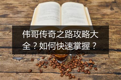 伟哥传奇之路攻略大全？如何快速掌握？