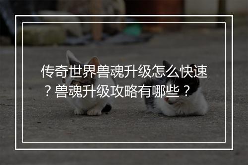传奇世界兽魂升级怎么快速？兽魂升级攻略有哪些？