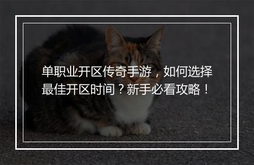 单职业开区传奇手游，如何选择最佳开区时间？新手必看攻略！