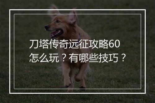 刀塔传奇远征攻略60怎么玩？有哪些技巧？
