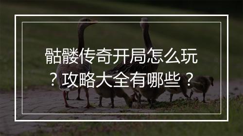 骷髅传奇开局怎么玩？攻略大全有哪些？