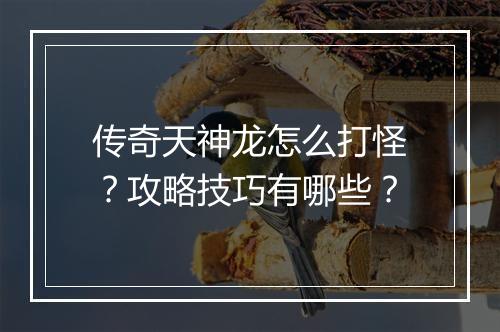 传奇天神龙怎么打怪？攻略技巧有哪些？