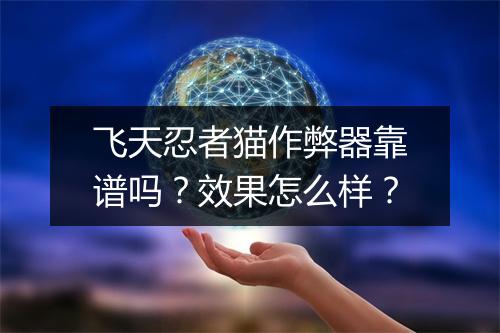 飞天忍者猫作弊器靠谱吗？效果怎么样？