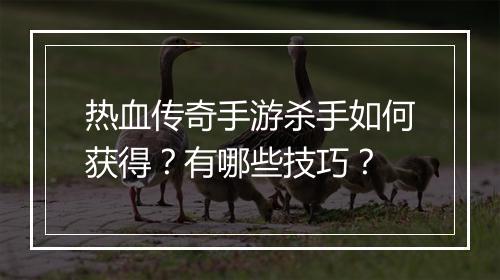 热血传奇手游杀手如何获得？有哪些技巧？