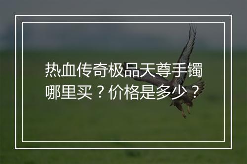 热血传奇极品天尊手镯哪里买？价格是多少？