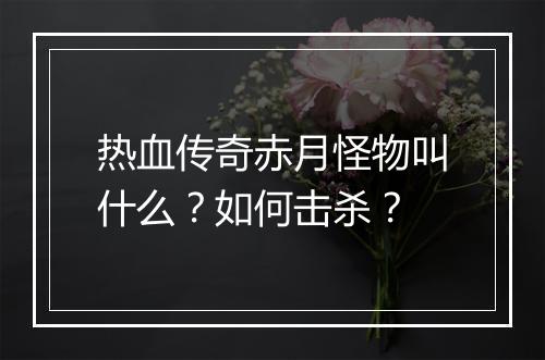 热血传奇赤月怪物叫什么？如何击杀？