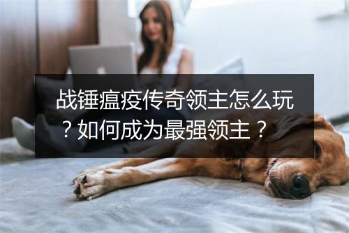 战锤瘟疫传奇领主怎么玩？如何成为最强领主？