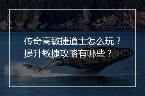 传奇高敏捷道士怎么玩？提升敏捷攻略有哪些？
