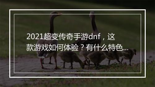 2021超变传奇手游dnf，这款游戏如何体验？有什么特色？