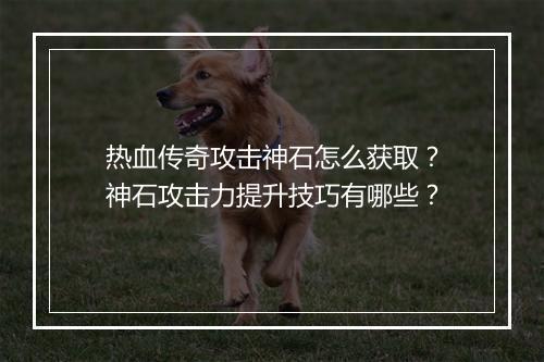 热血传奇攻击神石怎么获取？神石攻击力提升技巧有哪些？