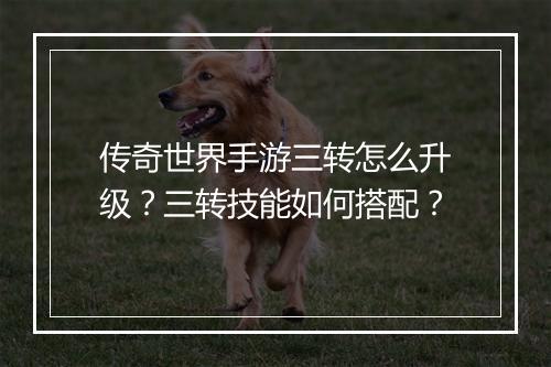 传奇世界手游三转怎么升级？三转技能如何搭配？