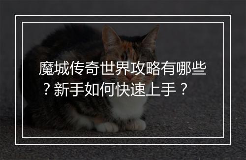 魔城传奇世界攻略有哪些？新手如何快速上手？