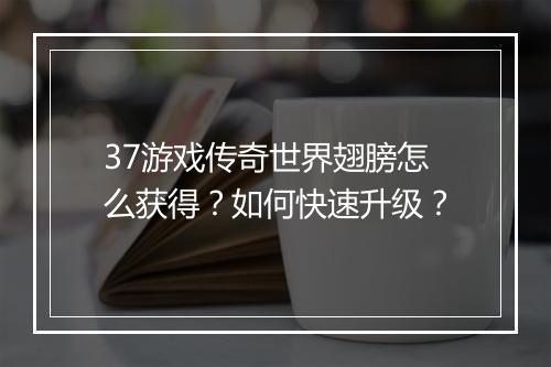 37游戏传奇世界翅膀怎么获得？如何快速升级？