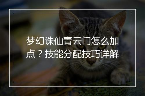 梦幻诛仙青云门怎么加点？技能分配技巧详解