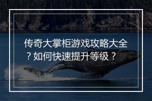 传奇大掌柜游戏攻略大全？如何快速提升等级？