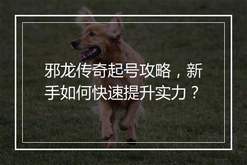 邪龙传奇起号攻略，新手如何快速提升实力？