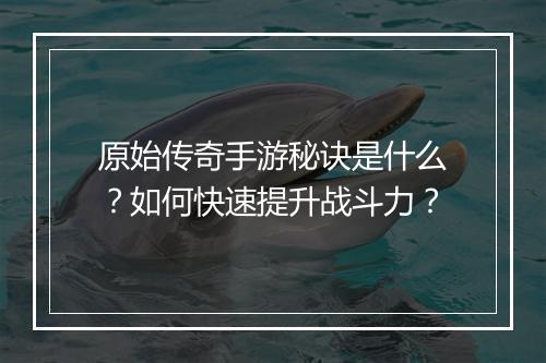原始传奇手游秘诀是什么？如何快速提升战斗力？
