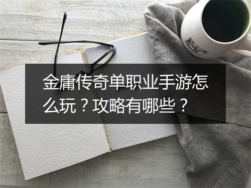 金庸传奇单职业手游怎么玩？攻略有哪些？