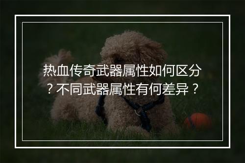 热血传奇武器属性如何区分？不同武器属性有何差异？