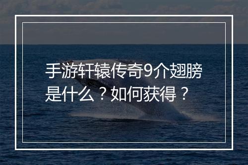 手游轩辕传奇9介翅膀是什么？如何获得？