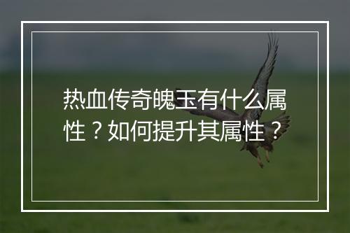 热血传奇魄玉有什么属性？如何提升其属性？