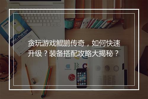 贪玩游戏鲲鹏传奇，如何快速升级？装备搭配攻略大揭秘？
