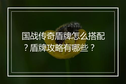 国战传奇盾牌怎么搭配？盾牌攻略有哪些？