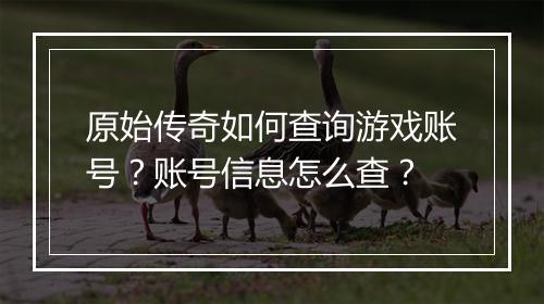 原始传奇如何查询游戏账号？账号信息怎么查？
