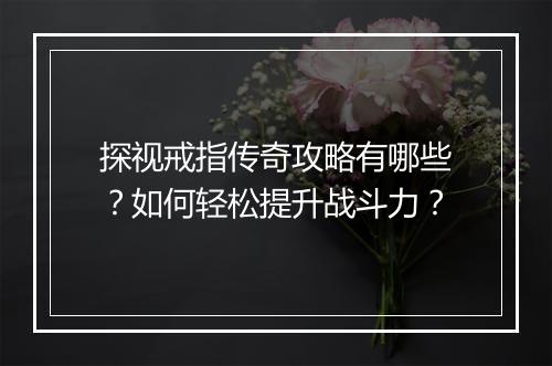 探视戒指传奇攻略有哪些？如何轻松提升战斗力？