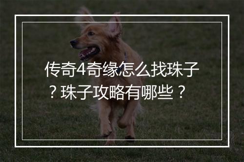 传奇4奇缘怎么找珠子？珠子攻略有哪些？
