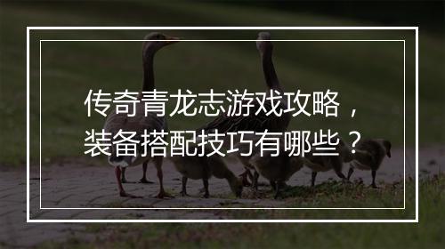传奇青龙志游戏攻略，装备搭配技巧有哪些？