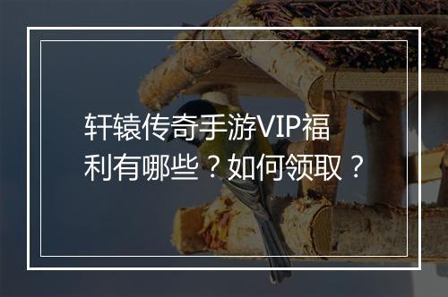 轩辕传奇手游VIP福利有哪些？如何领取？