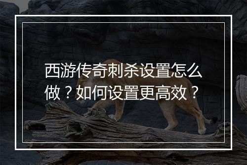 西游传奇刺杀设置怎么做？如何设置更高效？
