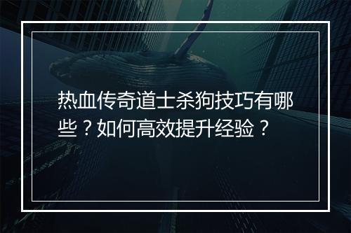 热血传奇道士杀狗技巧有哪些？如何高效提升经验？