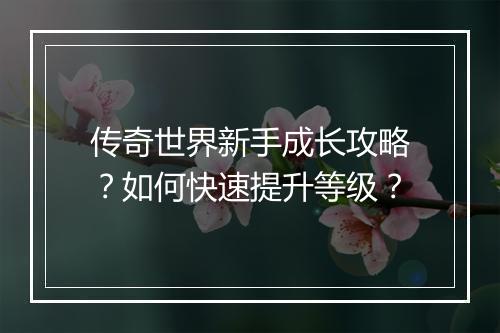 传奇世界新手成长攻略？如何快速提升等级？