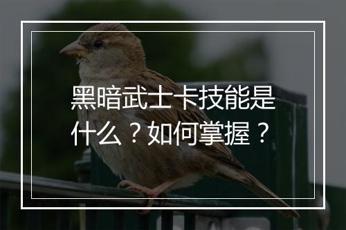 黑暗武士卡技能是什么？如何掌握？