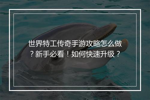世界特工传奇手游攻略怎么做？新手必看！如何快速升级？