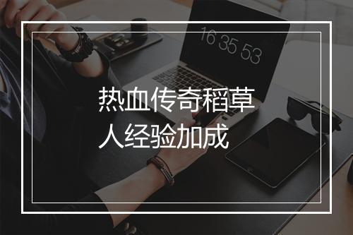 热血传奇稻草人经验加成