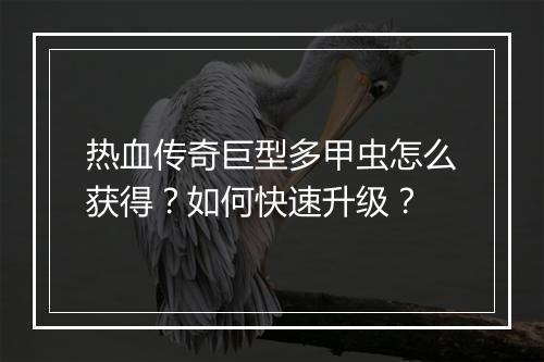 热血传奇巨型多甲虫怎么获得？如何快速升级？