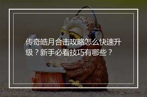 传奇皓月合击攻略怎么快速升级？新手必看技巧有哪些？