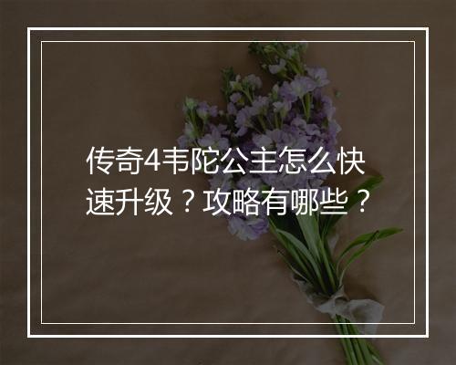 传奇4韦陀公主怎么快速升级？攻略有哪些？
